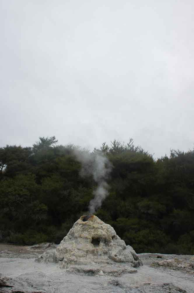 45 - Nueva Zelanda - Rotorua, Wai-o-tapu, geiser Lady Knox
